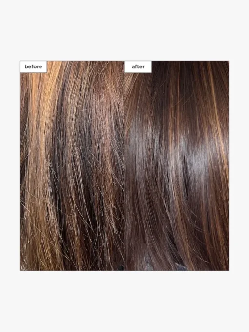 Briogeo Don’t Despair, Repair!™ Moisture + Damage Defense Leave-In Hair Treatment | MECCA