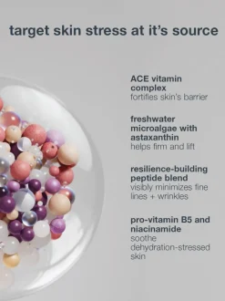 Dermalogica Multivitamin Power Recovery Cream | MECCA
