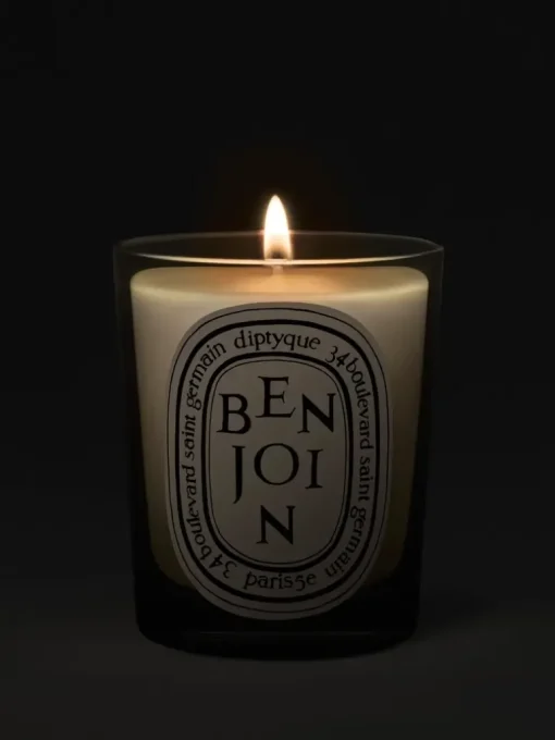 diptyque Benjoin Candle | MECCA