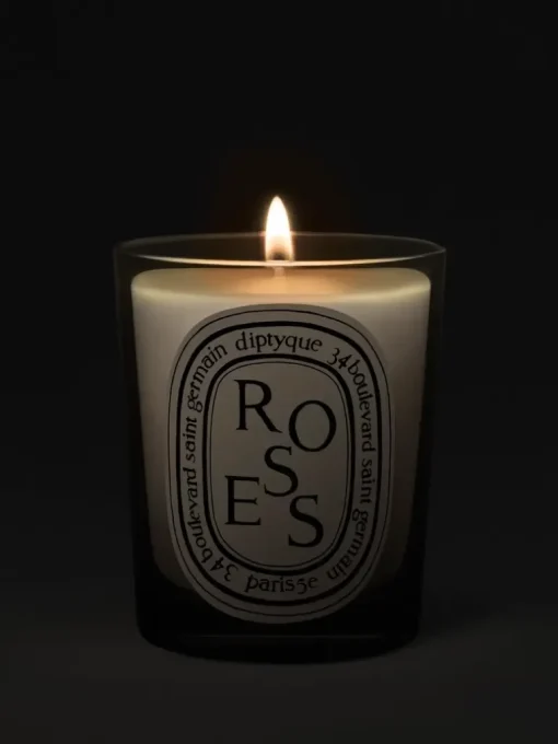 DIPTYQUE Roses Candle | MECCA
