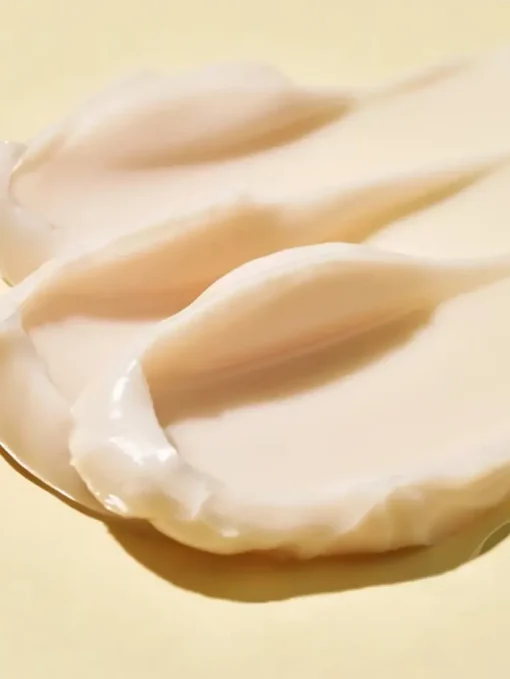 Dr. Jart+ Ceramidin Ectoin-Infused Cream | MECCA